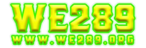 we289 logo